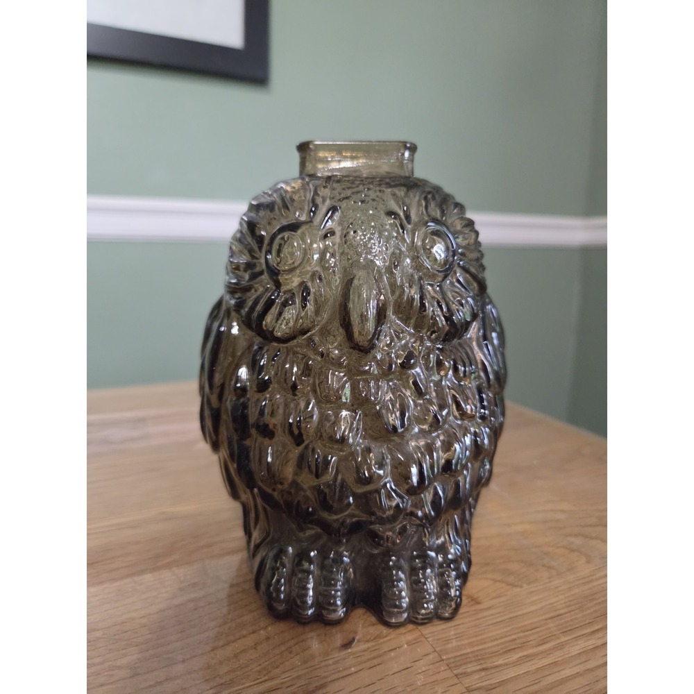 Vintage Glass Wise Old Owl Bank Smokey Brown Embossed Piggy Bank Retro Break